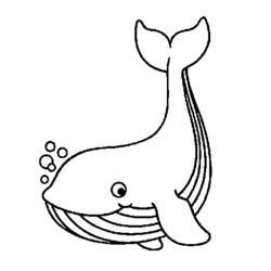 Coloring pages: Whale - Printable coloring pages