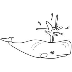 Coloring page: Whale (Animals) #908 - Free Printable Coloring Pages