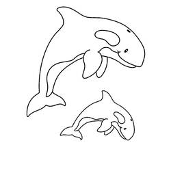 Coloring page: Whale (Animals) #932 - Free Printable Coloring Pages