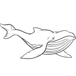 Coloring page: Whale (Animals) #934 - Printable coloring pages