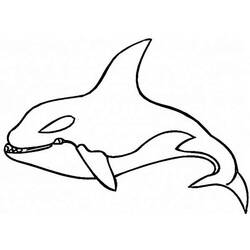 Coloring page: Whale (Animals) #941 - Free Printable Coloring Pages