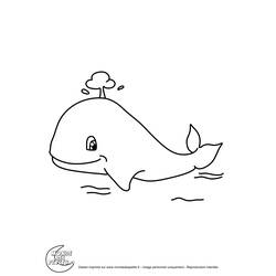 Coloring page: Whale (Animals) #942 - Printable coloring pages