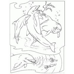 Coloring page: Whale (Animals) #961 - Free Printable Coloring Pages