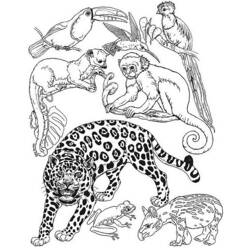 Coloring page: Wild / Jungle Animals (Animals) #21101 - Printable coloring pages