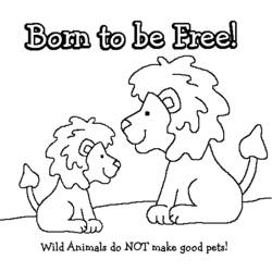 Coloring page: Wild / Jungle Animals (Animals) #21109 - Free Printable Coloring Pages