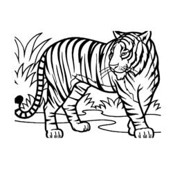 Coloring pages: Wild / Jungle Animals - Printable coloring pages