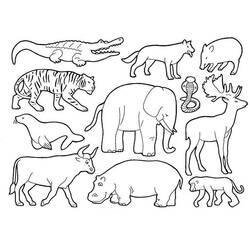 Coloring page: Wild / Jungle Animals (Animals) #21120 - Printable coloring pages
