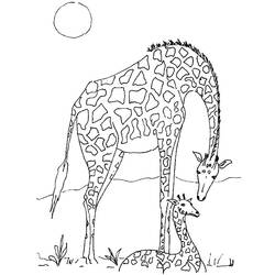Coloring page: Wild / Jungle Animals (Animals) #21138 - Printable coloring pages