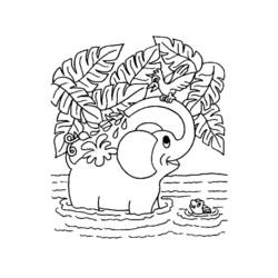Coloring page: Wild / Jungle Animals (Animals) #21175 - Free Printable Coloring Pages