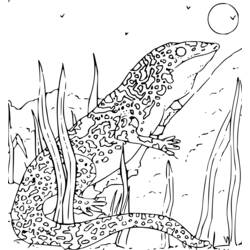 Coloring page: Wild / Jungle Animals (Animals) #21208 - Free Printable Coloring Pages