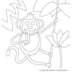 Coloring page: Wild / Jungle Animals (Animals) #21230 - Free Printable Coloring Pages