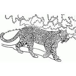 Coloring page: Wild / Jungle Animals (Animals) #21277 - Printable coloring pages