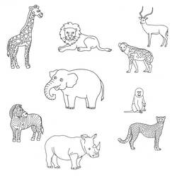 Coloring page: Wild / Jungle Animals (Animals) #21287 - Printable coloring pages