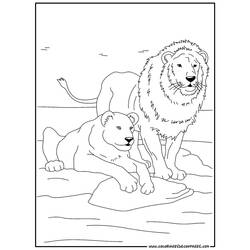 Coloring page: Wild / Jungle Animals (Animals) #21291 - Free Printable Coloring Pages