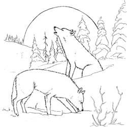 Coloring page: Wolf (Animals) #10439 - Printable coloring pages