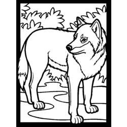 Coloring page: Wolf (Animals) #10440 - Free Printable Coloring Pages