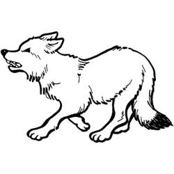 Coloring page: Wolf (Animals) #10475 - Printable coloring pages