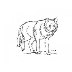 Coloring page: Wolf (Animals) #10501 - Free Printable Coloring Pages