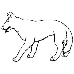 Coloring page: Wolf (Animals) #10505 - Free Printable Coloring Pages