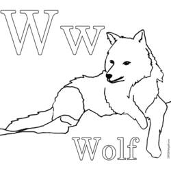Coloring page: Wolf (Animals) #10524 - Printable coloring pages