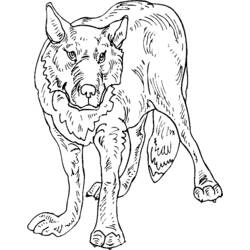 Coloring page: Wolf (Animals) #10547 - Free Printable Coloring Pages