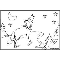Coloring page: Wolf (Animals) #10558 - Printable coloring pages