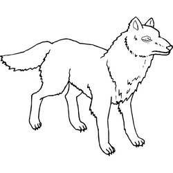 Coloring page: Wolf (Animals) #10600 - Free Printable Coloring Pages