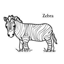 Coloring page: Zebra (Animals) #12938 - Free Printable Coloring Pages