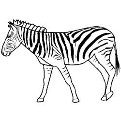 Coloring page: Zebra (Animals) #12953 - Printable coloring pages