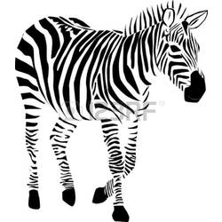 Coloring page: Zebra (Animals) #12957 - Printable coloring pages