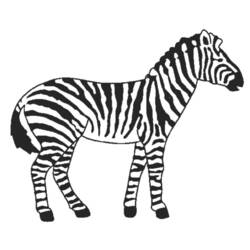 Coloring page: Zebra (Animals) #12964 - Printable coloring pages