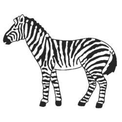 Coloring page: Zebra (Animals) #12968 - Free Printable Coloring Pages