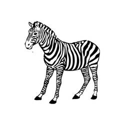 Coloring page: Zebra (Animals) #12972 - Free Printable Coloring Pages