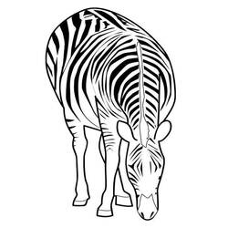 Coloring page: Zebra (Animals) #12977 - Free Printable Coloring Pages