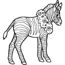 Coloring page: Zebra (Animals) #12979 - Printable coloring pages