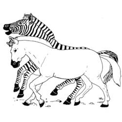 Coloring page: Zebra (Animals) #12981 - Free Printable Coloring Pages