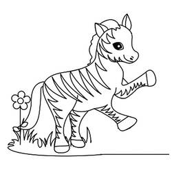 Coloring page: Zebra (Animals) #12986 - Free Printable Coloring Pages