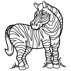Coloring page: Zebra (Animals) #13008 - Free Printable Coloring Pages