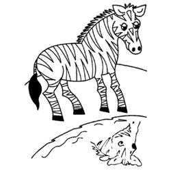 Coloring page: Zebra (Animals) #13013 - Free Printable Coloring Pages