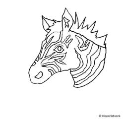 Coloring page: Zebra (Animals) #13017 - Free Printable Coloring Pages
