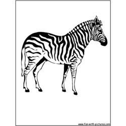Coloring page: Zebra (Animals) #13037 - Free Printable Coloring Pages