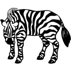 Coloring page: Zebra (Animals) #13061 - Free Printable Coloring Pages