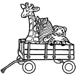 Coloring page: Zebra (Animals) #13064 - Free Printable Coloring Pages
