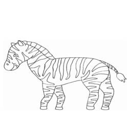 Coloring page: Zebra (Animals) #13065 - Free Printable Coloring Pages
