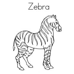 Coloring page: Zebra (Animals) #13096 - Free Printable Coloring Pages