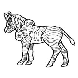 Coloring page: Zebra (Animals) #13097 - Free Printable Coloring Pages