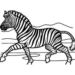 Coloring page: Zebra (Animals) #13120 - Free Printable Coloring Pages