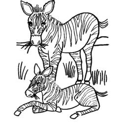Coloring page: Zebra (Animals) #13130 - Free Printable Coloring Pages