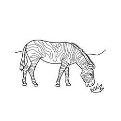 Zebra (Animals) coloring page #197148 to print and color