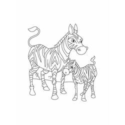 Zebra (Animals) coloring page #197154 to print and color